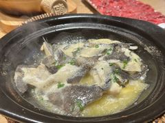 -邹开喜·炭炉鸡煲·海鲜火锅(虹口足球场店)