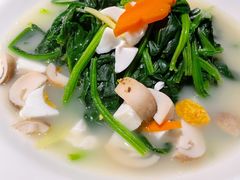 上汤菠菜-维园悦谱·海派家常菜(乌鲁木齐南路店)