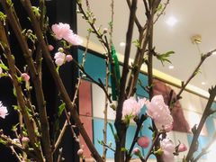 -眉州东坡(远洋未来广场店)