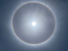 -温江公平红烧兔(总店)