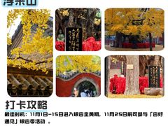 -巧克力渔家.小船海鲜家常菜(万平口店)