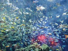 -成都浩海立方海洋公园