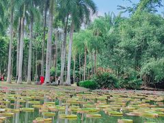 -中国科学院西双版纳热带植物园