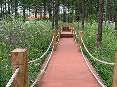 -塞罕坝国家级自然保护区