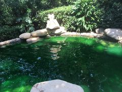 -天目湖涵田半山温泉