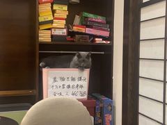-逗柴咖啡屋·狗咖猫咖宠物桌游