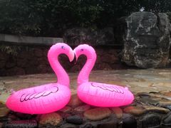 -天目湖涵田半山温泉