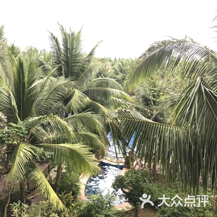 琼海博鳌海岛森林酒店
