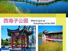 -西海子公园