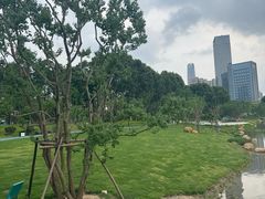 -后襄河公园