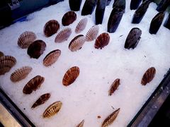 -盒马鲜生(杭州运河上街店)