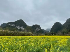 -靖西鹅泉风景区