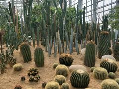 -祥源·阜阳生态乐园