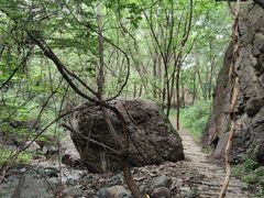 -云岫谷自然风景区