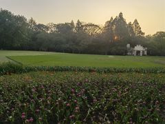 -柳莺湖上·湖景餐厅·江南菜(西湖店)