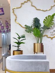 -伊丽莎白医疗美容