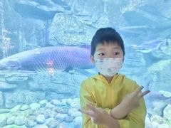 -泉城欧乐堡海洋极地世界