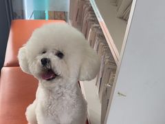 -爱侣宠医·鹦鹉专科·小型哺乳类·异宠专科(灵石路店)