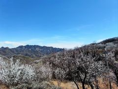 -碓臼峪自然风景区