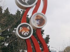 -成都动物园