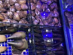 -青蓬蒸汽海鲜·深圳老字号·团建聚会(壹方城店)