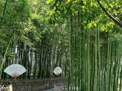 -陈家山荷花公园