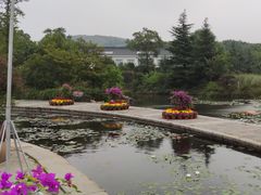 -白马涧龙池景区