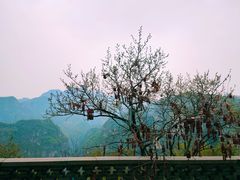-龙庆峡风景区