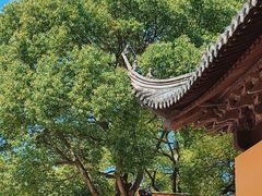 -宝岩生态观光园