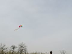 -汉长安城未央宫国家考古遗址公园