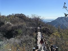 -大岭沟猕猴桃谷风景区