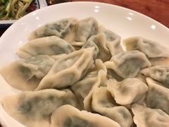 水饺-东北四季饺子王(华山路店)