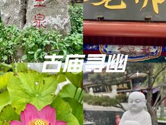 -天津市峰山药王古寺