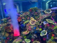 -成都浩海立方海洋公园