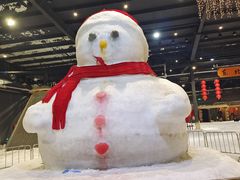 -宁波冰雪大世界(北仑区)