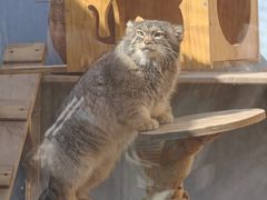 -青藏高原野生动物园