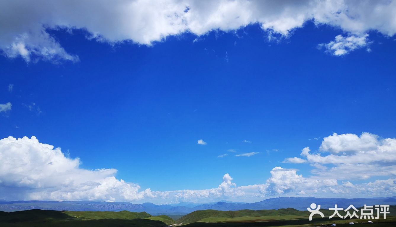 门源油菜花基地 一定看好季节去