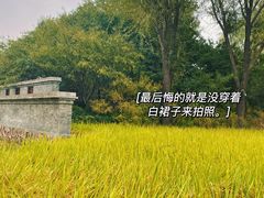 -北坞公园