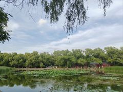 -北陵公园
