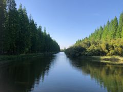 -黄海国家森林公园