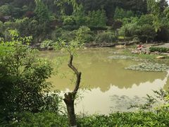 -铁山坪森林公园