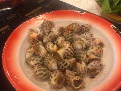 -鲜入围煮花胶鸡海鲜火锅