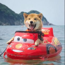 -镁连社·美联社