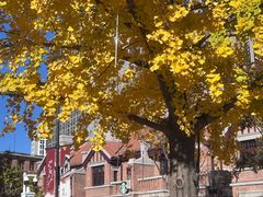 -星巴克(天津五大道店)