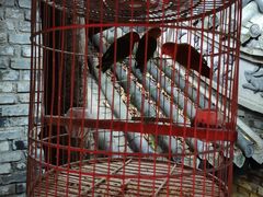 -鱼桥巷·美学川菜