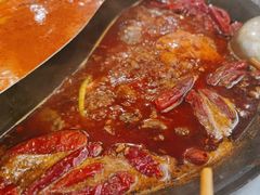 -朱光玉火锅馆(正弘城店)