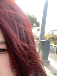 -蚂蚁造型沙龙