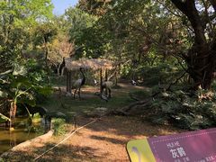 -深圳野生动物园