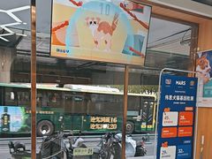 -宠欣安宠物医院·包河区中心医院