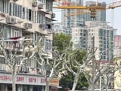 -钦州南路300弄小区